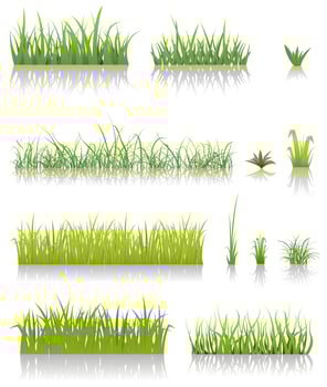 Green Grass Set vector