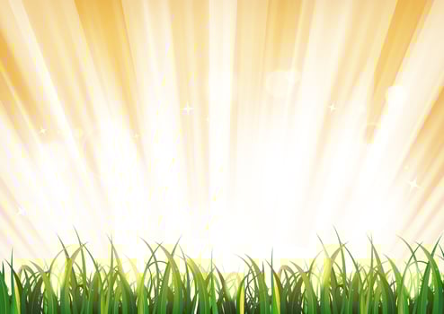 Summer Sunshine Background With Grass Leaves vector