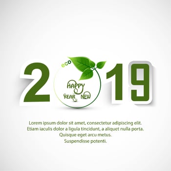 Beautiful Happy New Year 2019 text background vector