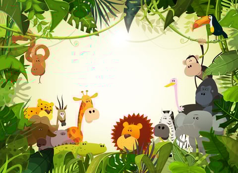 Wildlife Animals Landscape vector