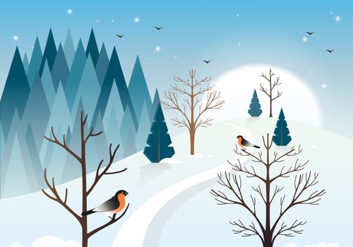 Vector Winter Landscape illustration