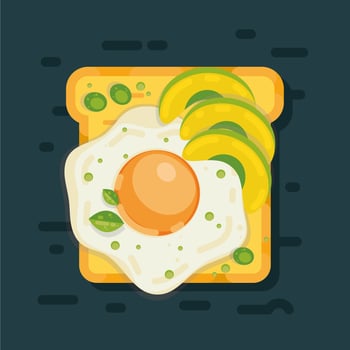 Avocado Toast Vector
