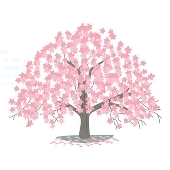 Cherry Blossom Tree vector