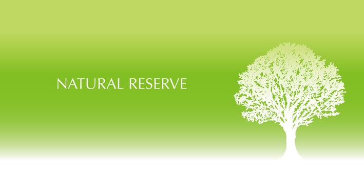 Fresh green background with a tree silhouette and text space. vector