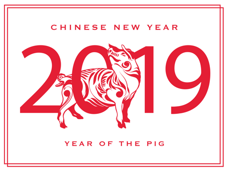 chinese new year pig  vector