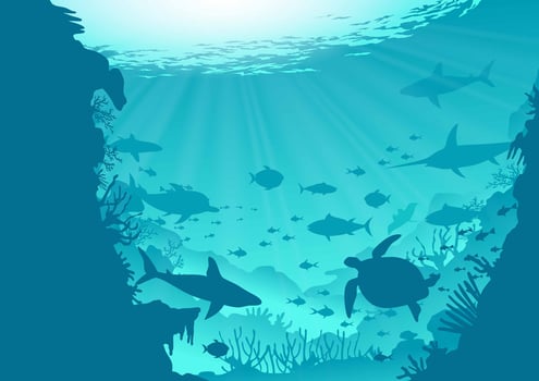 Deep Ocean Background vector