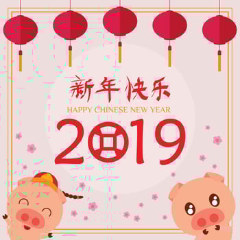 Happy Chinese New Year 2019 of the Pig vector