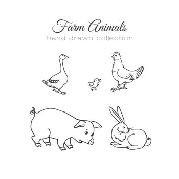 Hand drawn farm animals vector