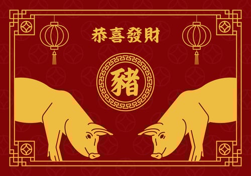 Chinese New Year Pig vector