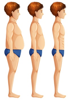 Stages of young mans weight vector