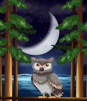 An owl at night background vector