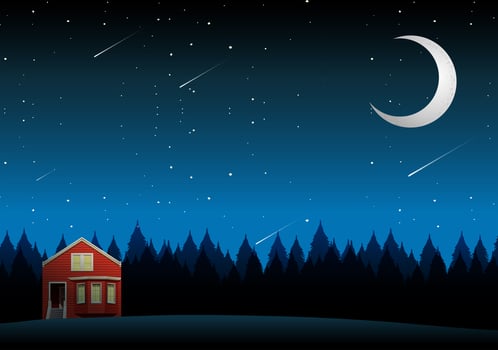 A rural house landscape at night vector
