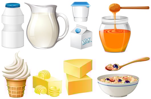 Dairy products set with milk and honey vector