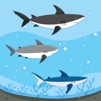 Diffrent Sharks Swimming Underwater vector