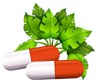 Two hard-shelled capsules vector