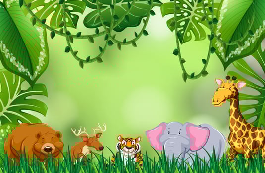 Wild animal in jungle vector