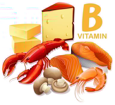 A Set of Vitamin B Food vector