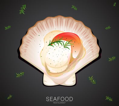 A scallop on restaurant banner vector