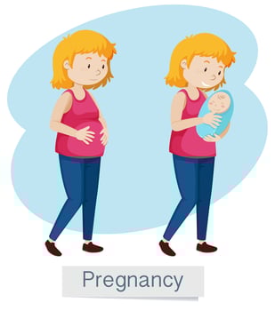 Pregnancy Woman and Baby on White Background vector