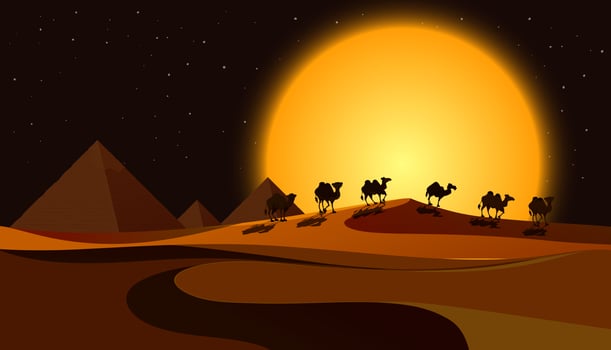 Pyramids at night scene vector
