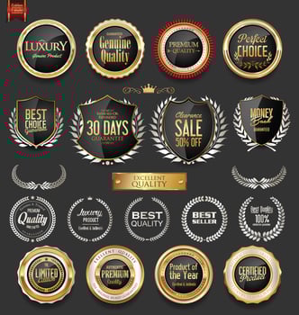 Luxury premium golden badges and labels vector