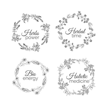Herbs Illustration. Floral frames. vector