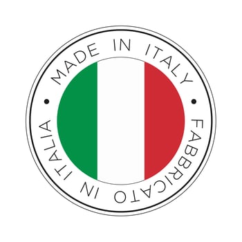 Made in Italy flag icon. vector