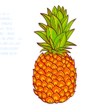 Pineapple. Hand drawn. Print on t-shirt vector