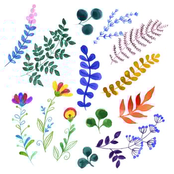 Set of beautiful watercolor flowers vector