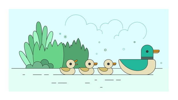 Ducks Family Vector