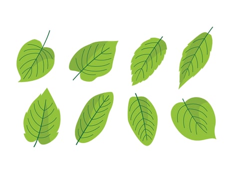 Green leaves vector