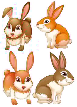 Rabbits vector