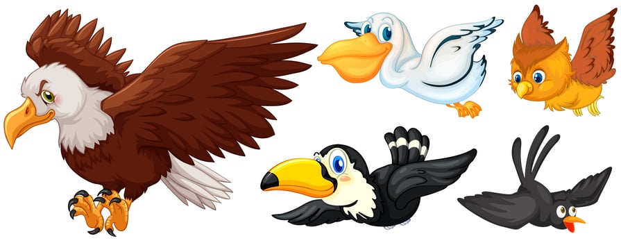 Different types of birds flying vector