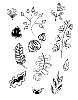 Set of Doodle Leaves hand draw vector