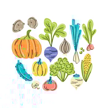 Vector Vegetables Illustration
