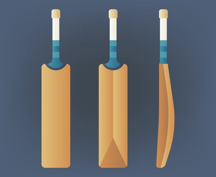 Cricket Bat Illustration vector