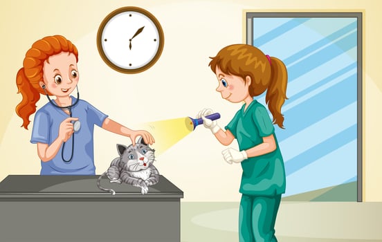 Vet examining little cat vector