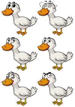 Duck with different facial emotions vector