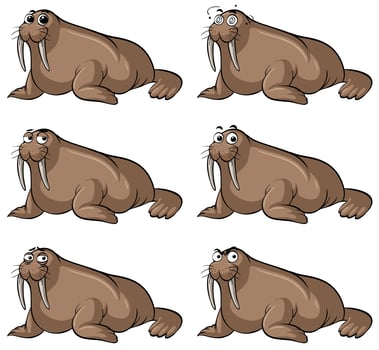 Walrus with different facial expressions vector