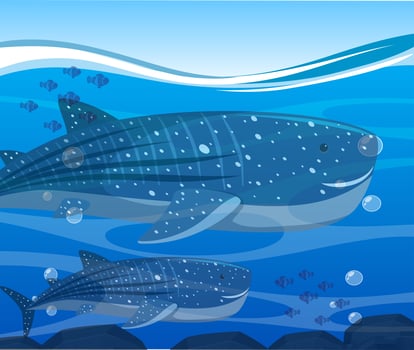 Whale sharks and fish under the ocean vector