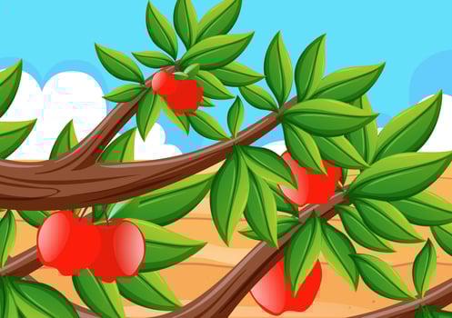 Red apples on the tree vector