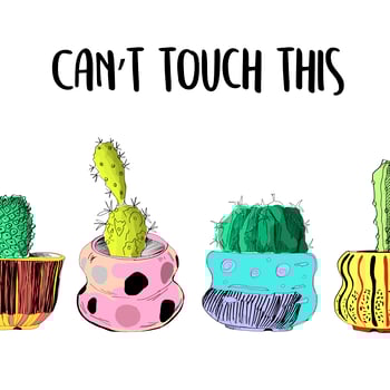 Cute cactus card. Can't touch this. vector