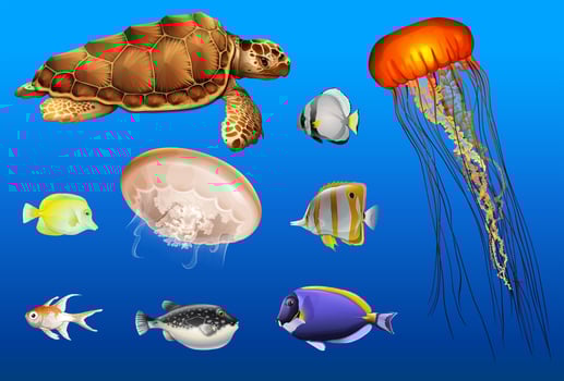 Different types of sea animals in ocean vector