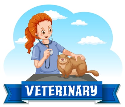 Vet healing wildlife animal vector
