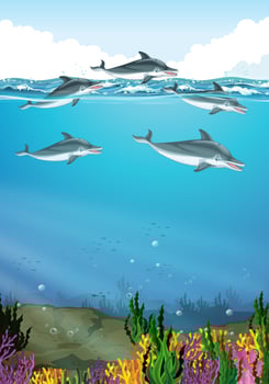 Dolphins swimming in the ocean vector