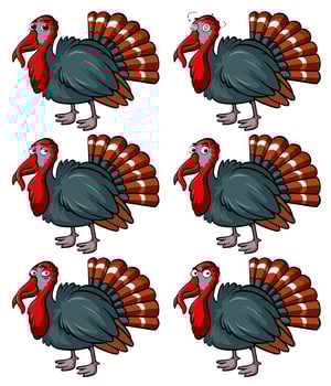 Wild turkey with different emotions vector