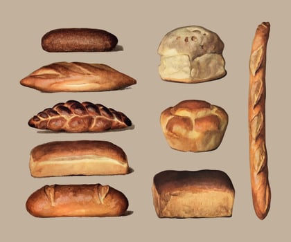 The Grocer39s Encyclopedia 1911, a vintage collection of various types of baked bread loaves. Digitally enhanced by rawpixel. vector