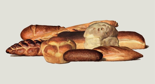 The Grocer39s Encyclopedia 1911, a vintage collection of various types of baked bread loaves. Digitally enhanced by rawpixel. vector