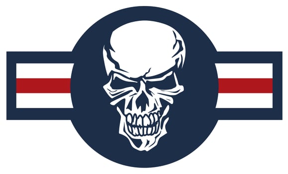 Military aircraft emblem with skull roundel color vector illustration