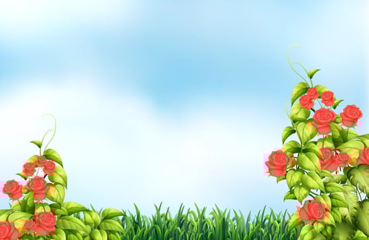 Roses vector